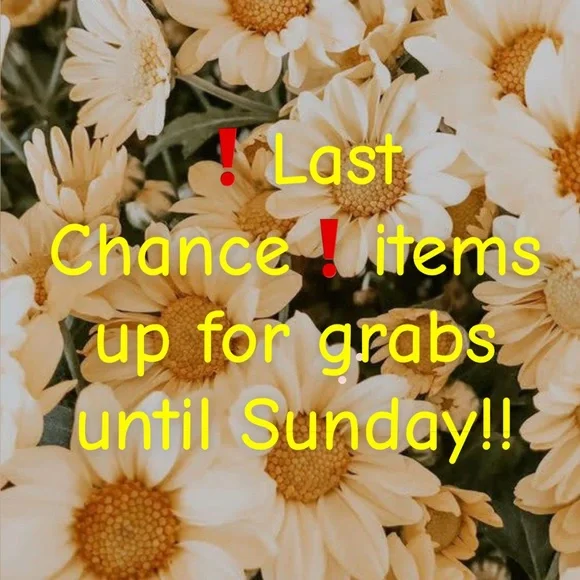 ❗️Last Chance❗️ - Picture 1 of 1